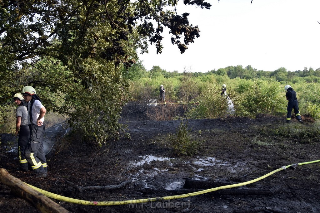 Waldbrand Koeln Hoehenhaus Hoehenfelder Mauspfad P098.JPG - Miklos Laubert